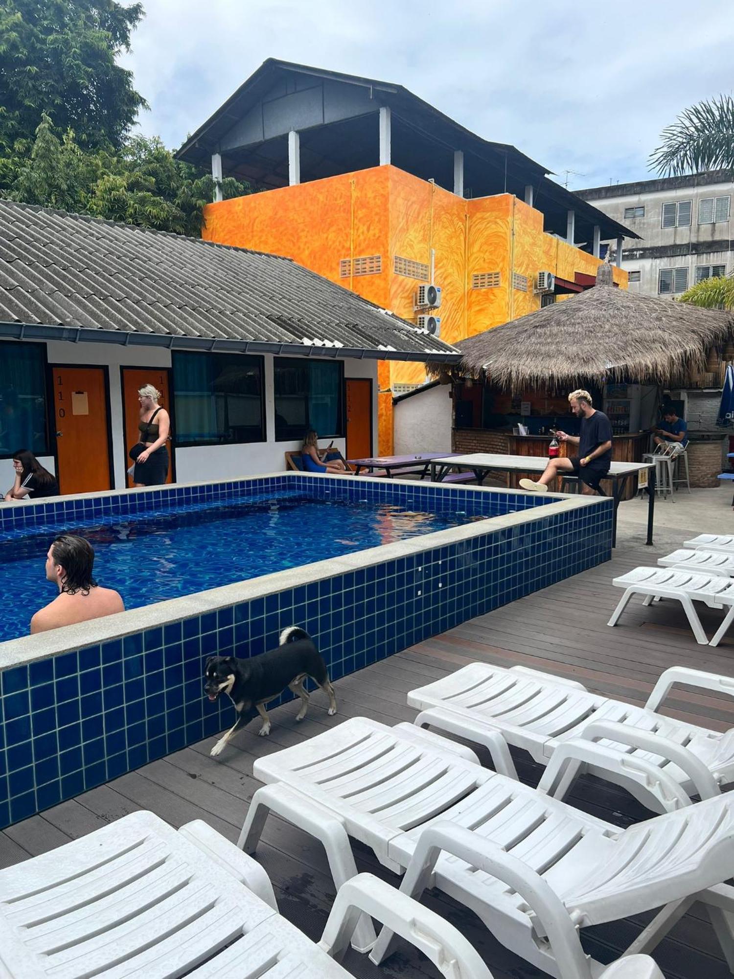 Revolution Chiang Mai - Old Town Hostel Exterior photo